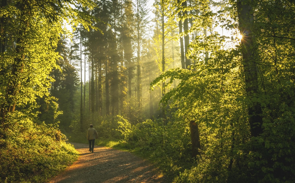 person in black jacket walking on pathway between green trees during daytime