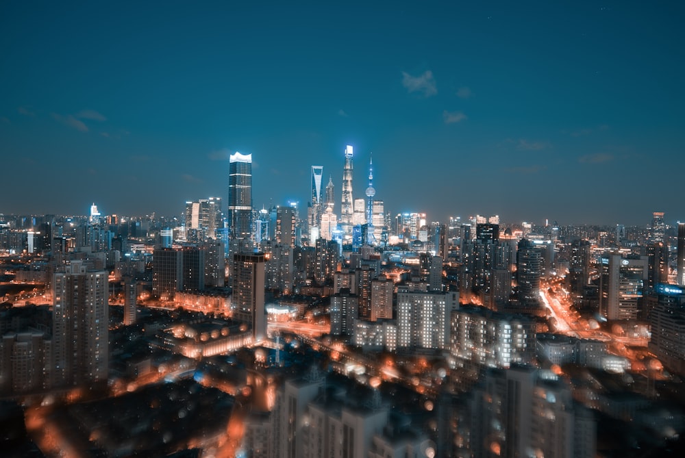 city skyline during night time