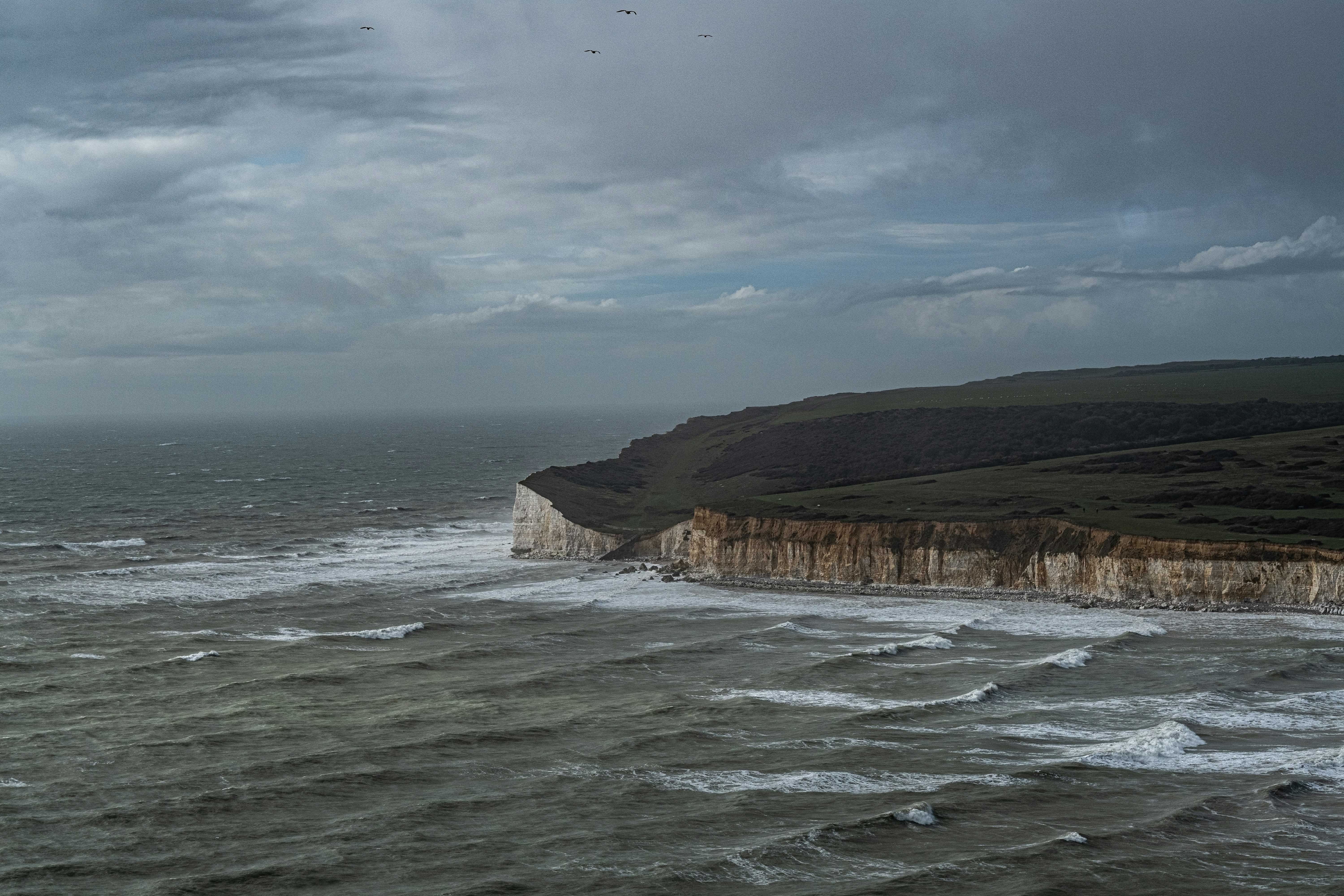 Les vagues de l’océan s’écrasent sur le rivage pendant la journée