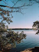 A serene view of Lake Akagera surrounded by wildlife.