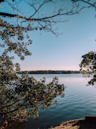 A serene lakefront property surrounded by lush greenery under a clear blue sky.