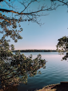 A serene lakefront property surrounded by lush greenery under a clear blue sky.