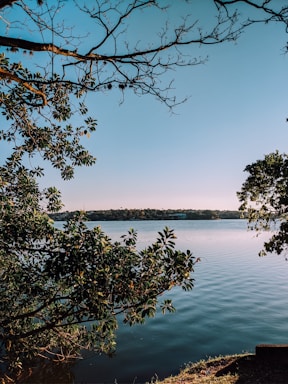 A serene view of the surrounding nature.