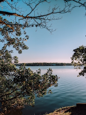 A serene view of Lake Akagera surrounded by wildlife.