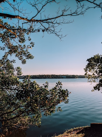 A scenic view of Purwakarta's serene lake surrounded by lush greenery under a clear blue sky.
