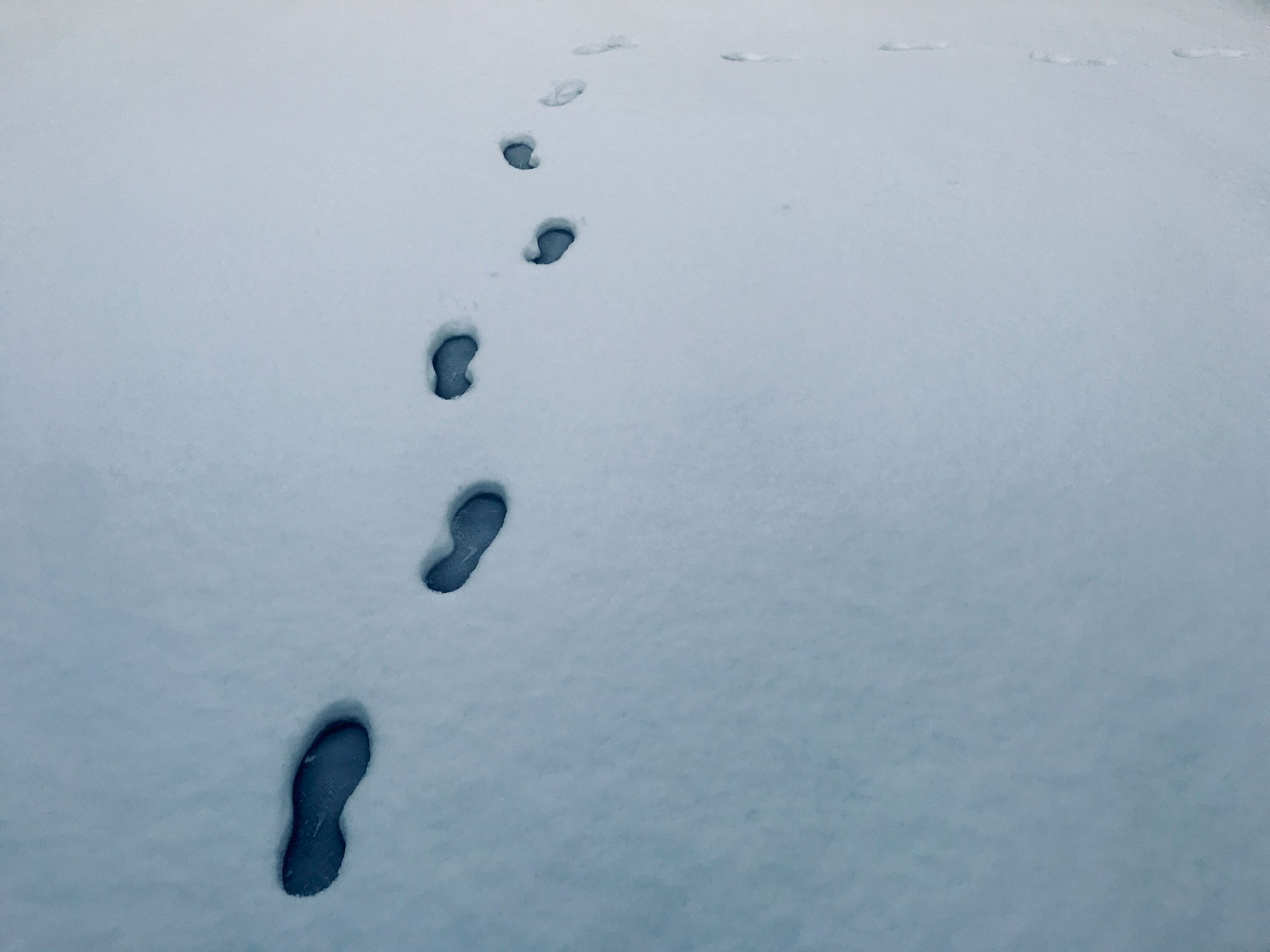 Footprints in the snow (ig: art_pilgrim)