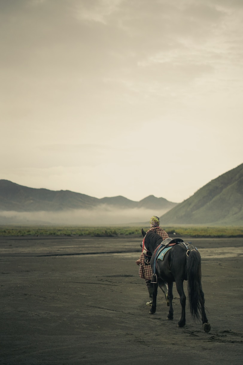 man riding horse on gray sand during daytime