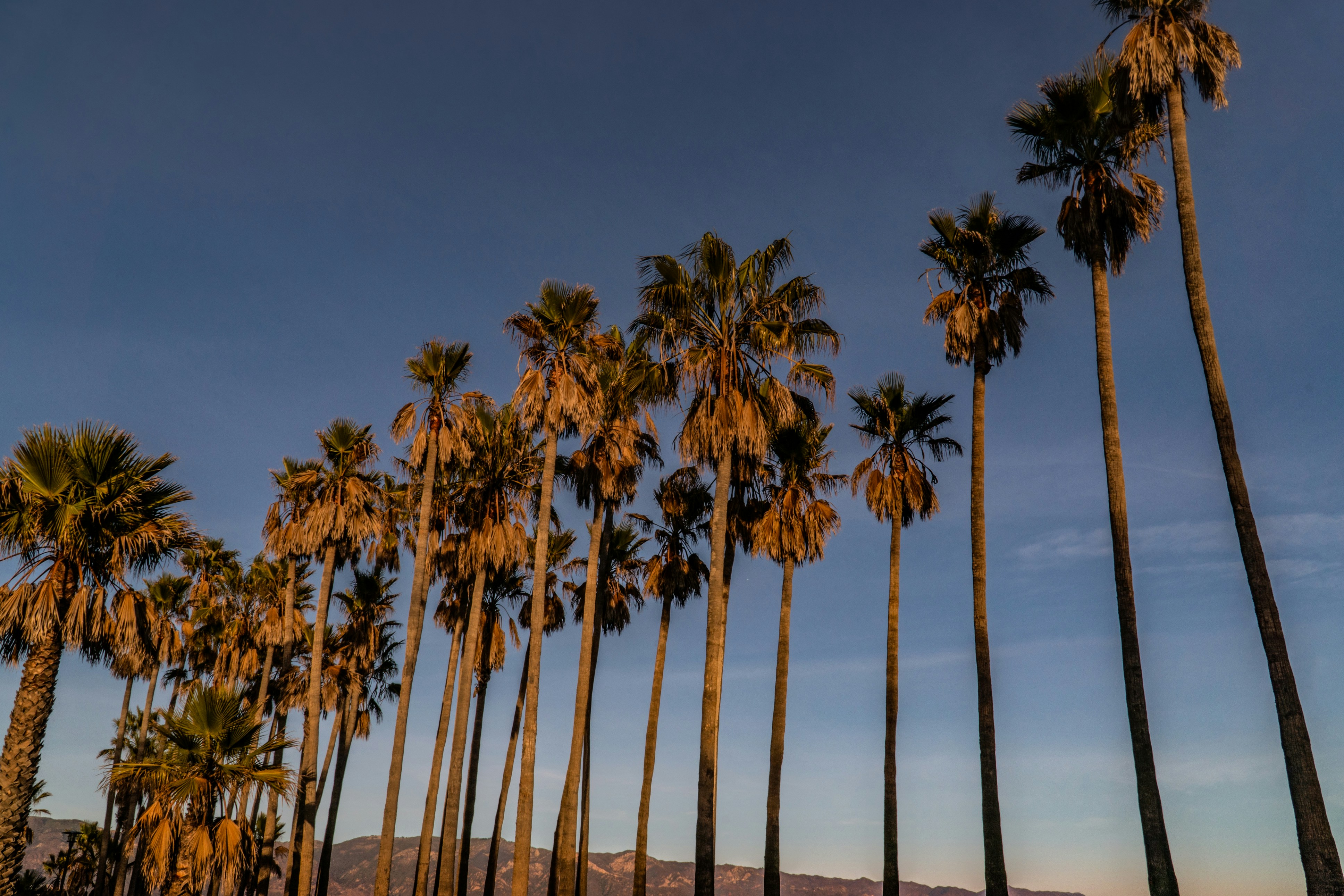 Photo by earl_plannerzone