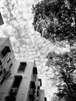 A black and white photograph shows a dynamic urban scene featuring tall buildings on the left with barred windows. In the foreground, large trees with dense foliage frame the scene. Overhead, a web of electricity wires cuts across a sky filled with textured clouds, adding to the visual complexity.