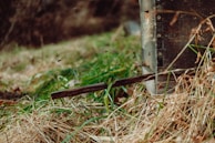 A rustic wooden hive box open to reveal busy bees working inside, framed by lush greenery.