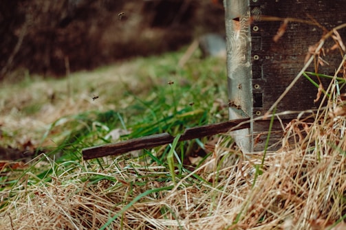 A rustic wooden beehive surrounded by blooming wildflowers.