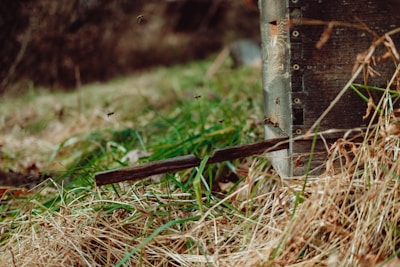 Bees busy at work around blooming flowers and the edge of a rustic hive box.