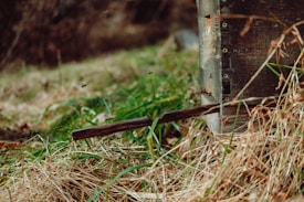 A rustic beehive box with bees flying around it is situated amidst tall, dry grass and some greenery. The wooden structure appears weathered with visible holes. The scene is set in a natural, outdoor environment.