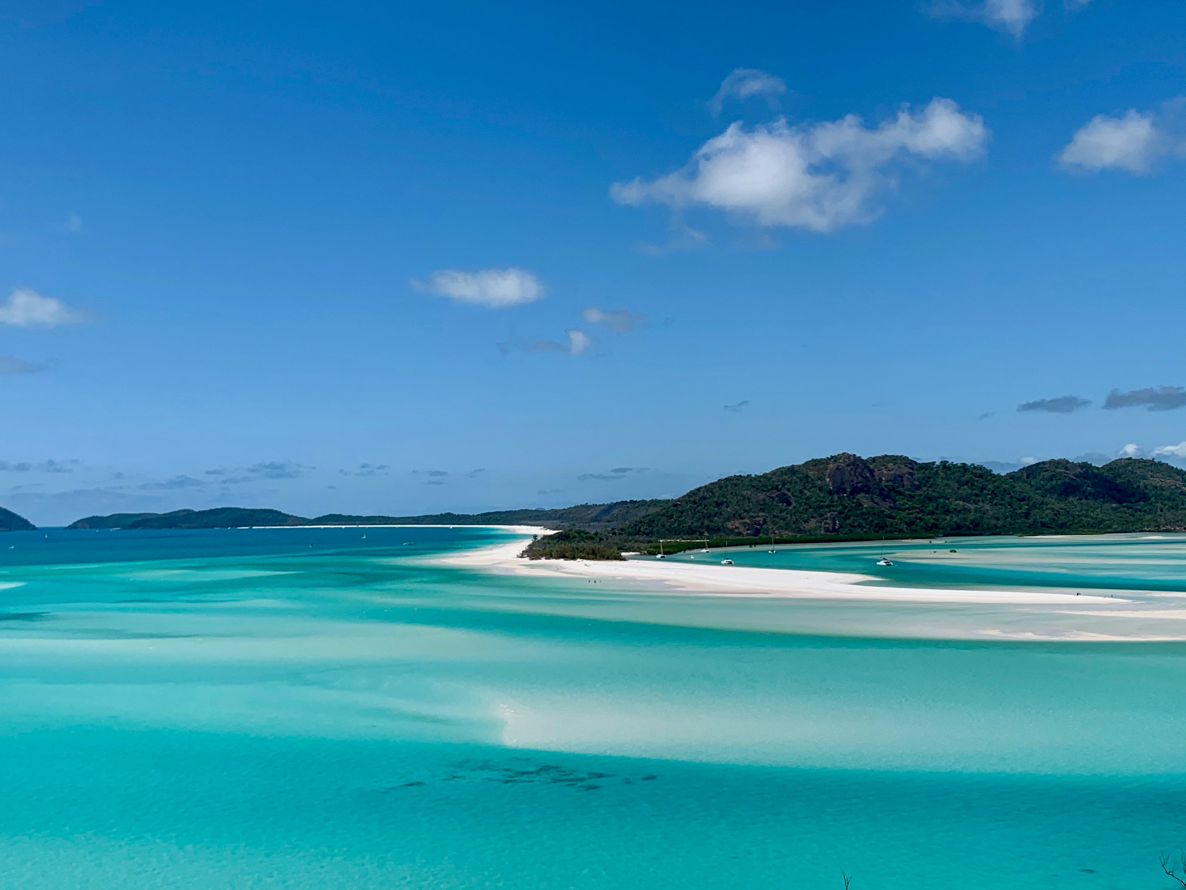 blue sea near green trees under blue sky during daytime, Whitehaven Beach 