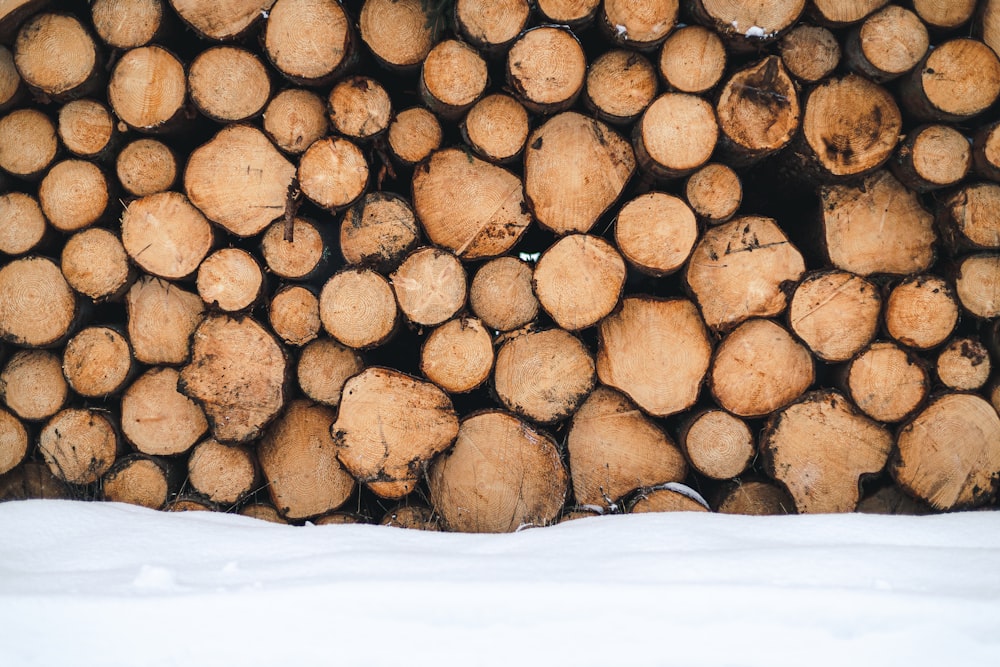 pile of brown wood logs