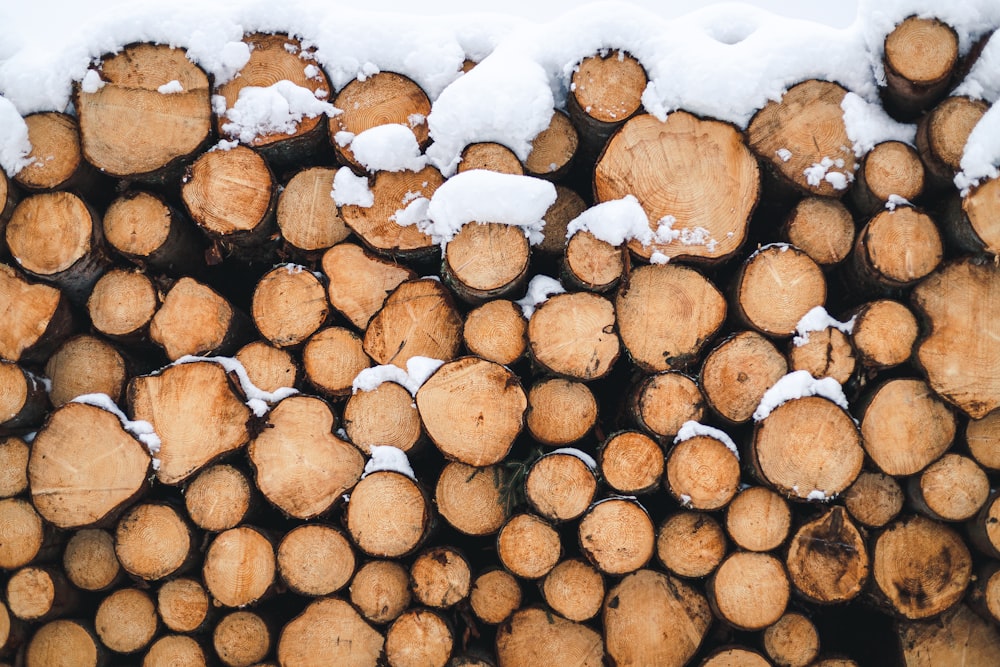 brown and white wood logs