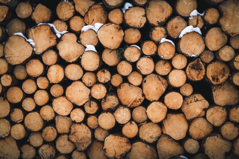 brown and black wood logs