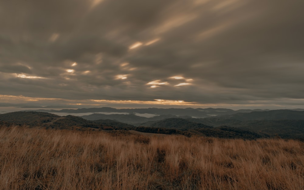 campo de grama marrom sob céu nublado durante o dia