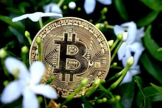 A gold-colored Bitcoin coin is nestled among green leaves and white flowers, indicating a blend of digital currency and nature.