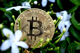A gold-colored Bitcoin coin is nestled among green leaves and white flowers, indicating a blend of digital currency and nature.