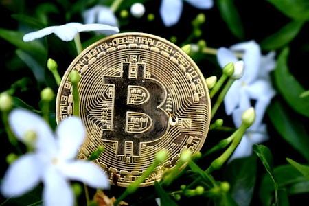 A gold-colored Bitcoin coin is nestled among green leaves and white flowers, indicating a blend of digital currency and nature.