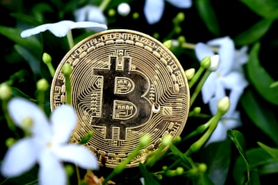 A gold-colored Bitcoin coin is nestled among green leaves and white flowers, indicating a blend of digital currency and nature.