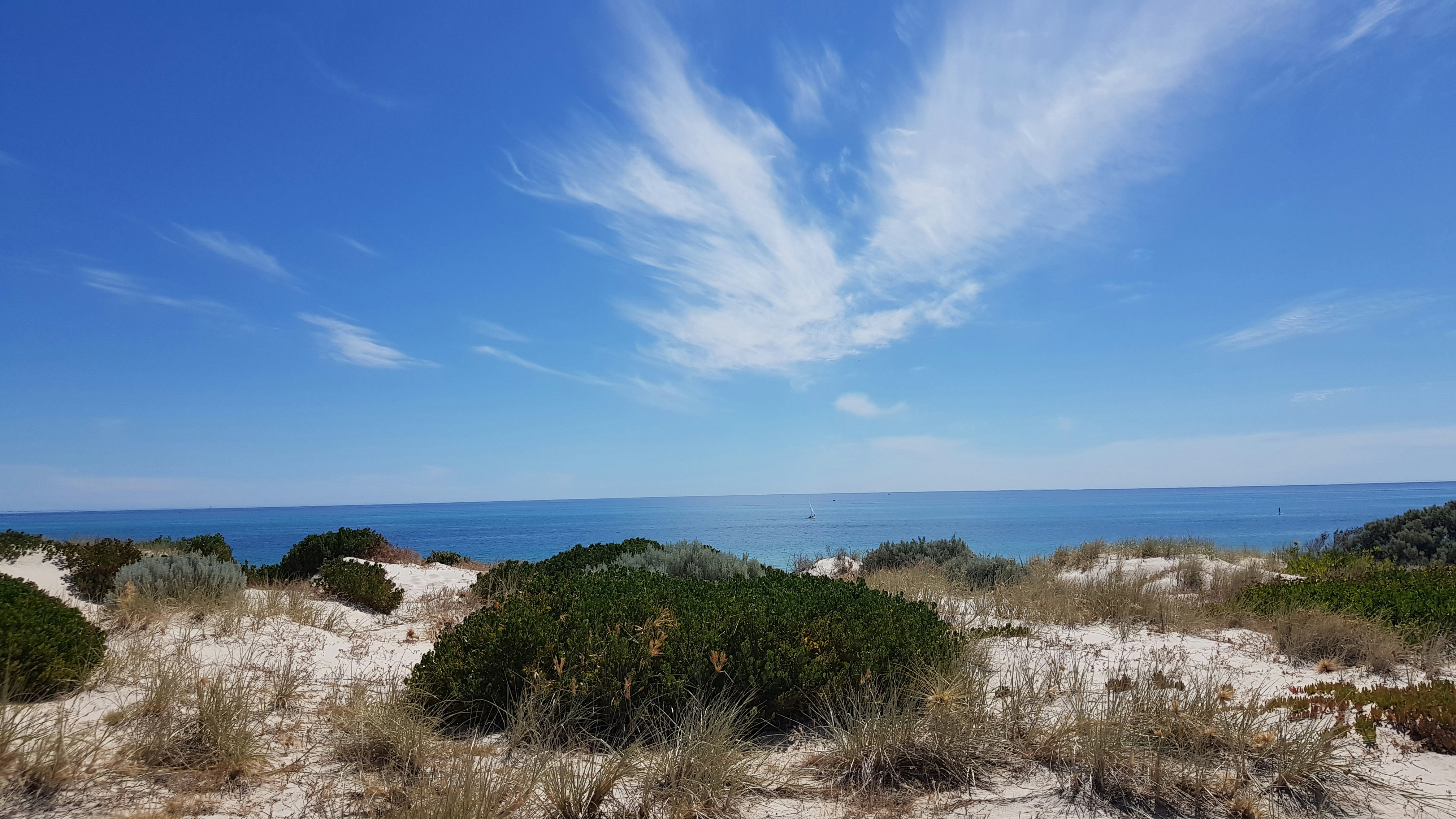 green grass near body of water during daytime