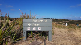 A grey wooden sign pointing to Future and Past in a grassy field