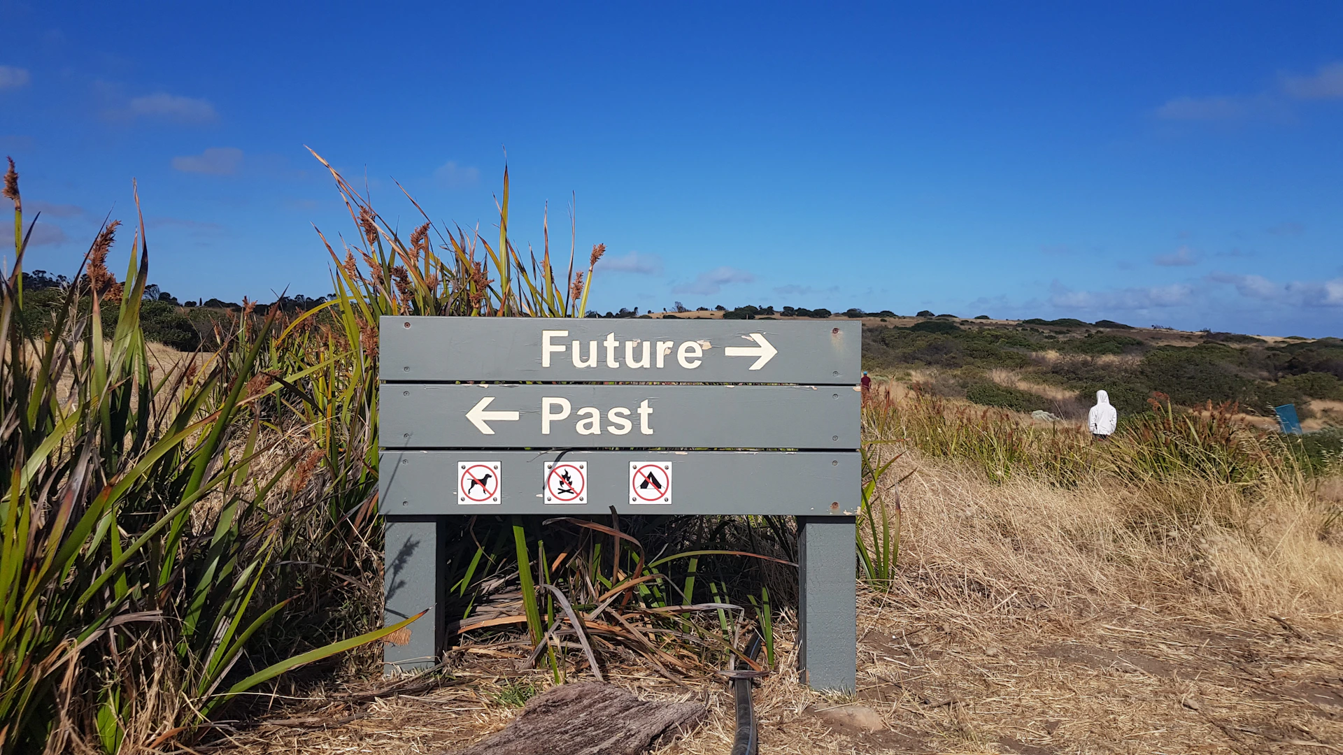 A grey wooden sign pointing to Future and Past in a grassy field