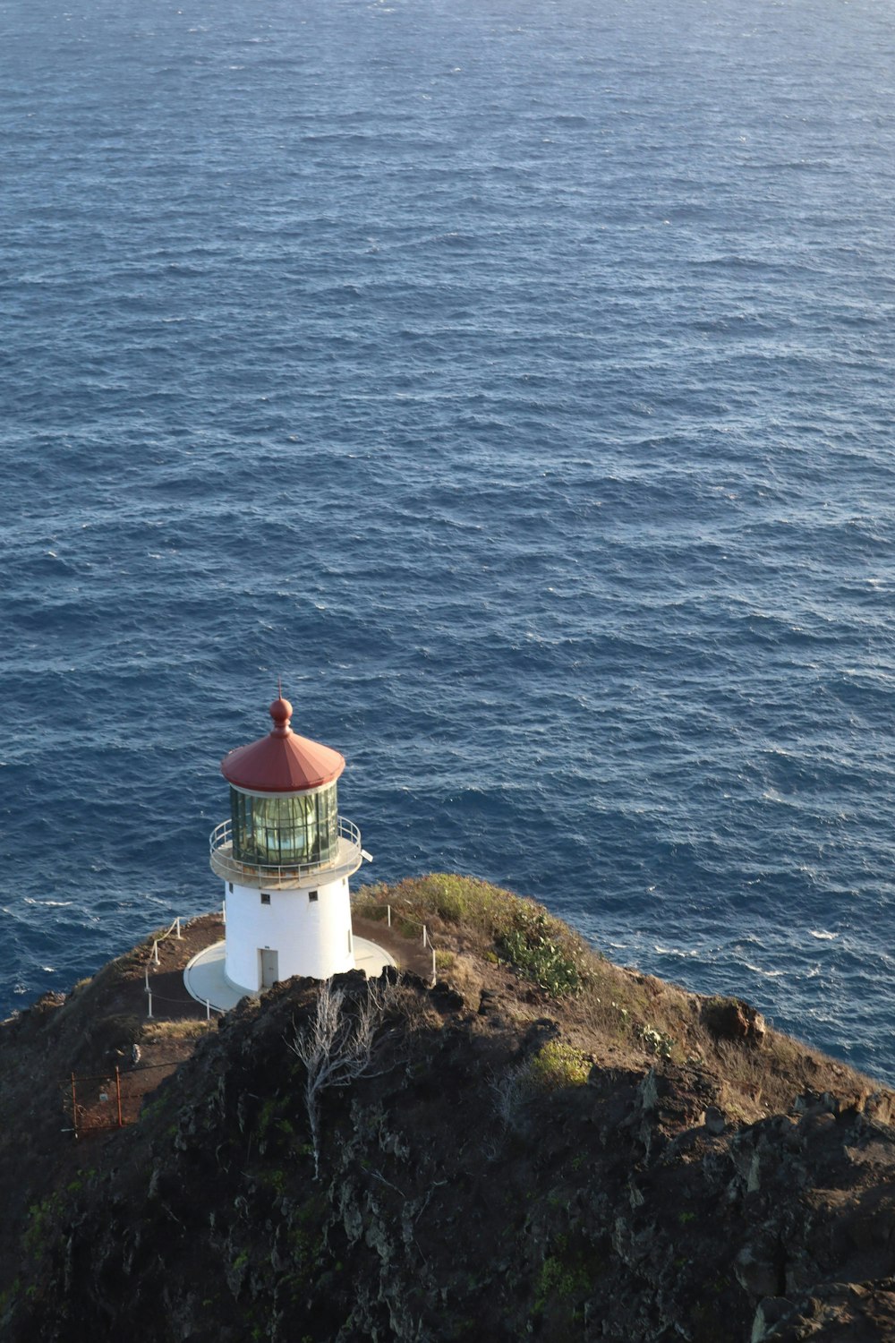 昼間の海沿いの崖にある白と茶色の灯台