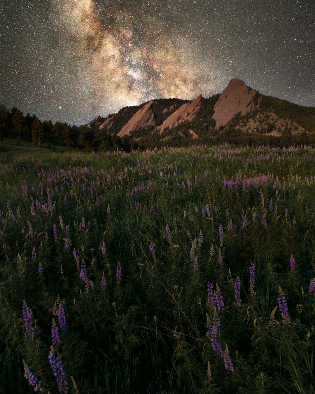 green grass field near mountain under starry night