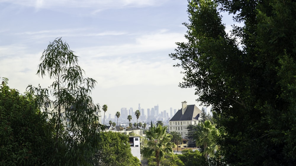 green trees near white concrete building during daytime