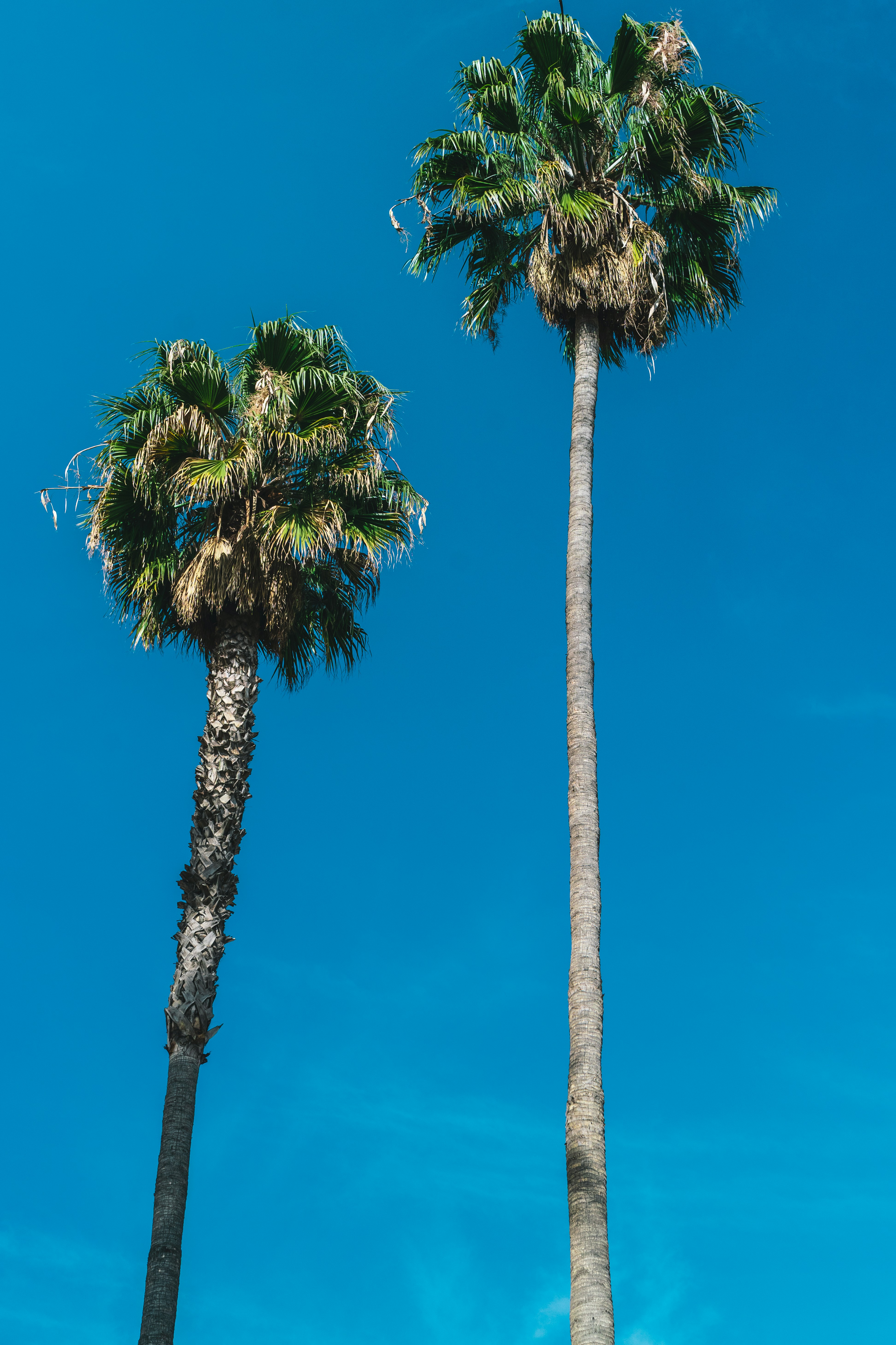 Photo by marty_made_it