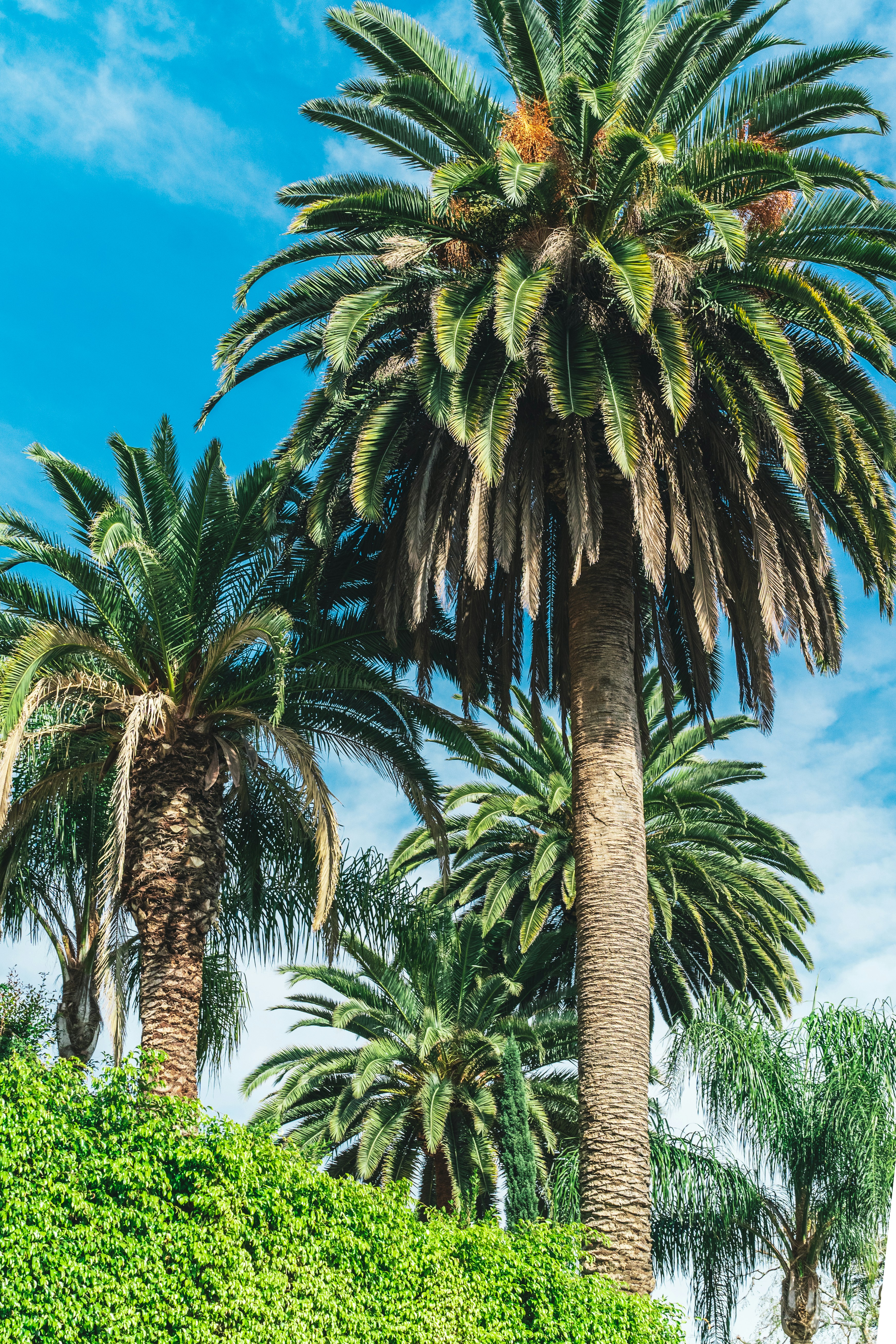 Photo by marty_made_it