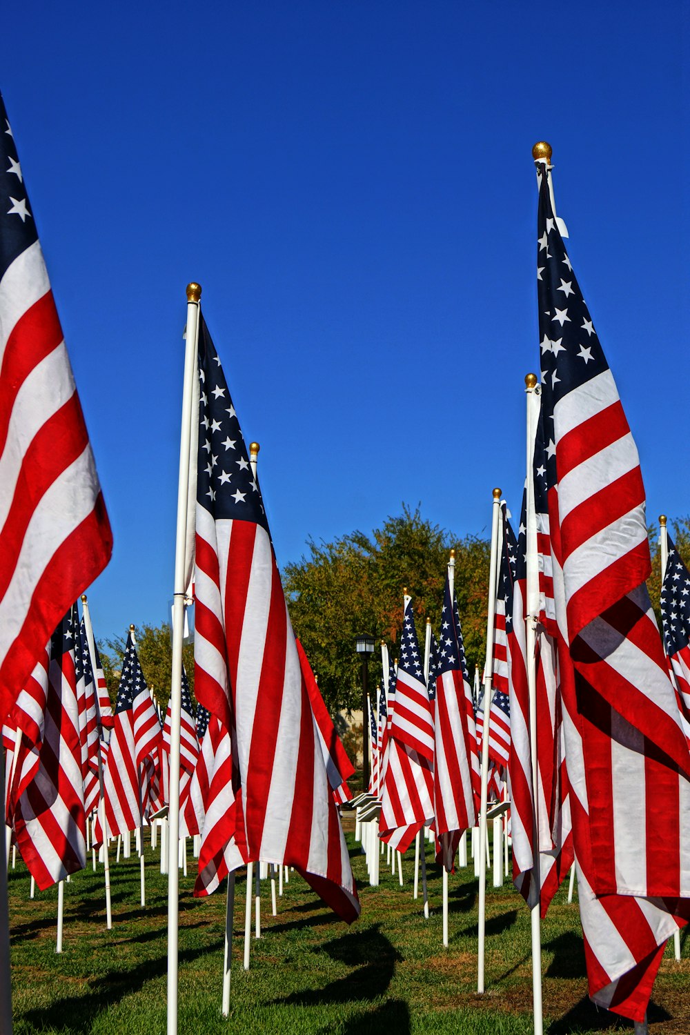 us a flags on flag poles