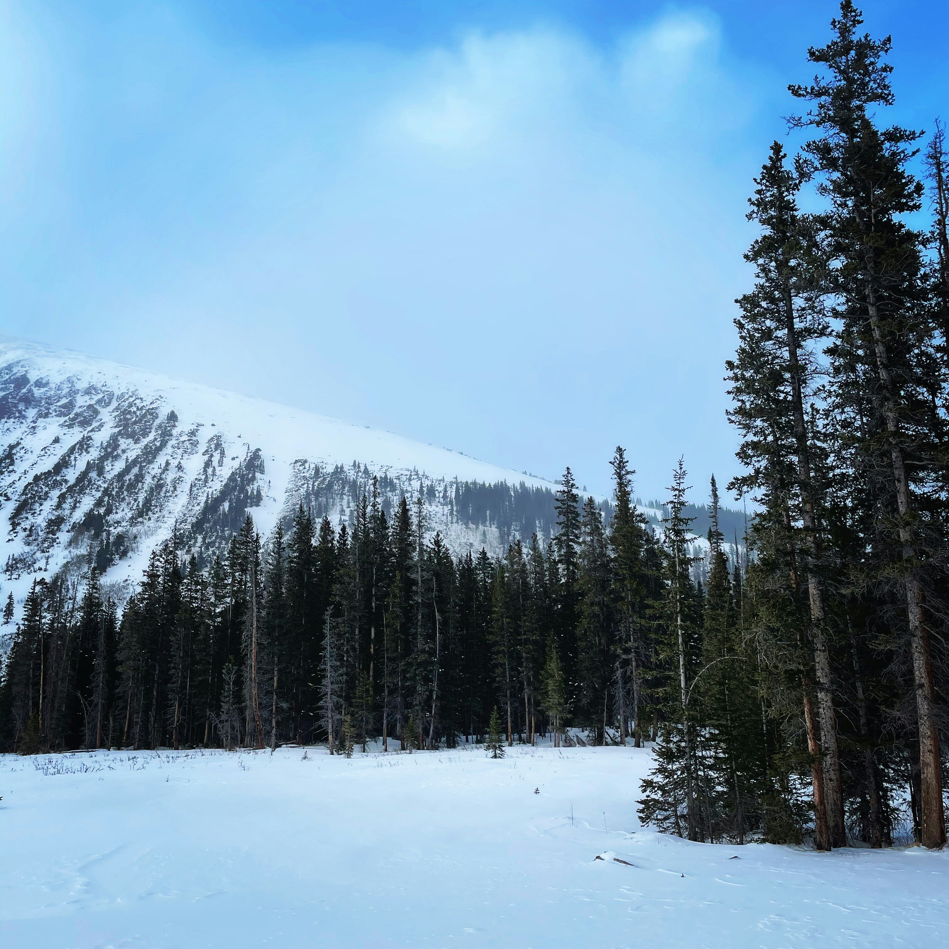 Photo by laitonbarbo