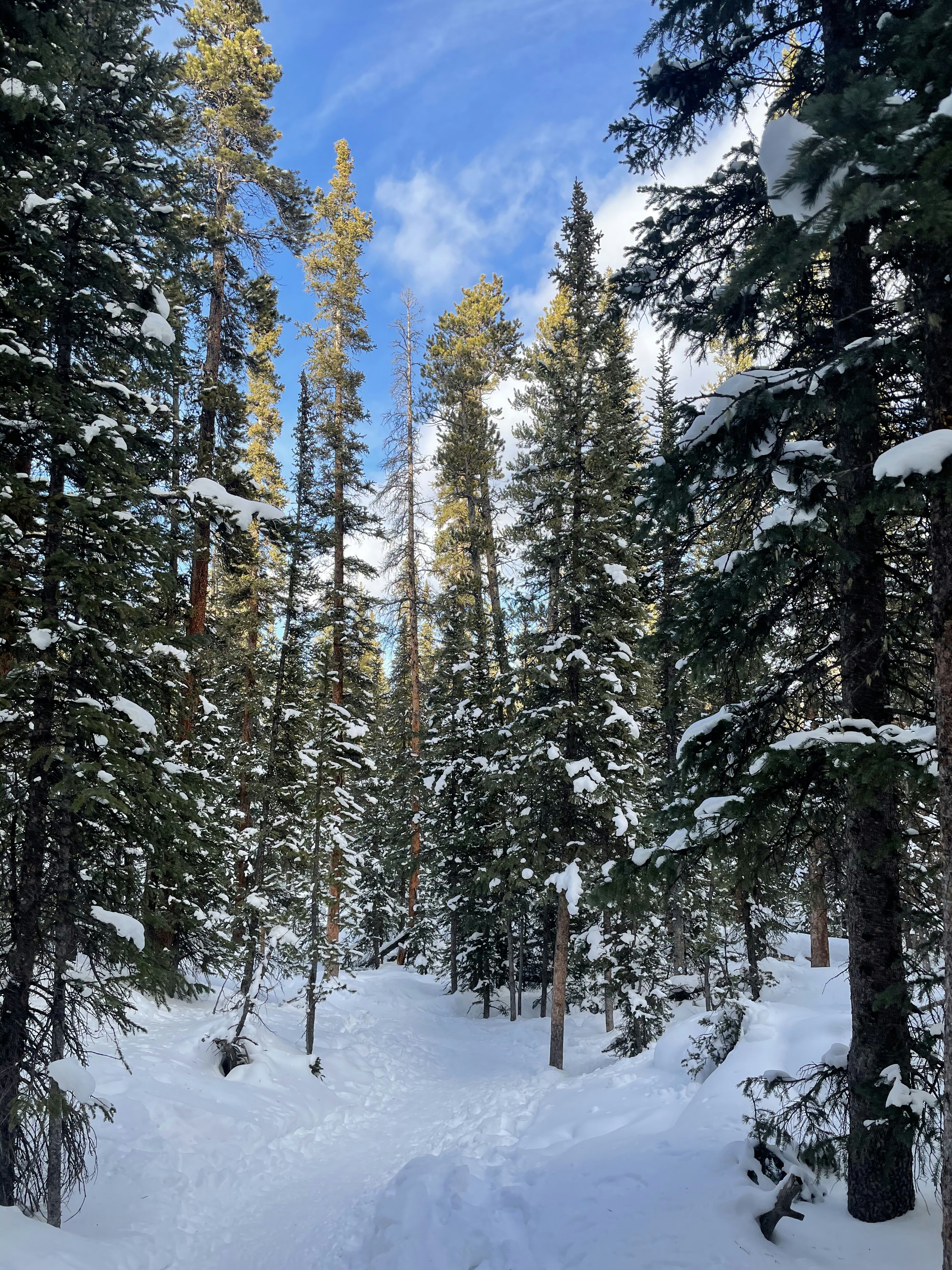 Photo by laitonbarbo