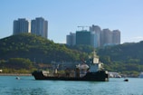 A large cargo ship is anchored in a body of water near a green hillside. Tall residential buildings rise up behind the hill, with a clear blue sky overhead. There are smaller boats docked in the background, creating a contrast between the natural landscape and urban development.