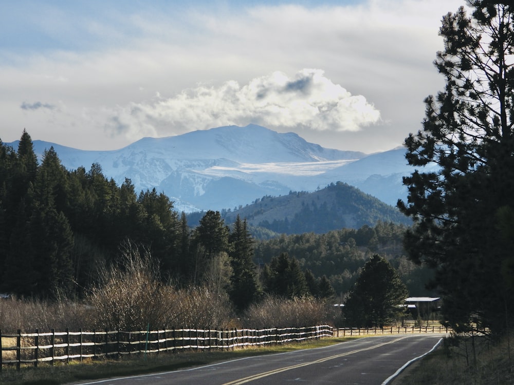gray concrete road near green trees and mountains during daytime