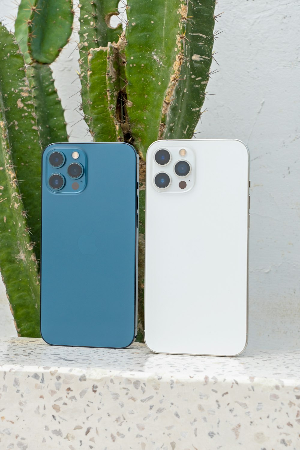 estojo para iphone azul e branco