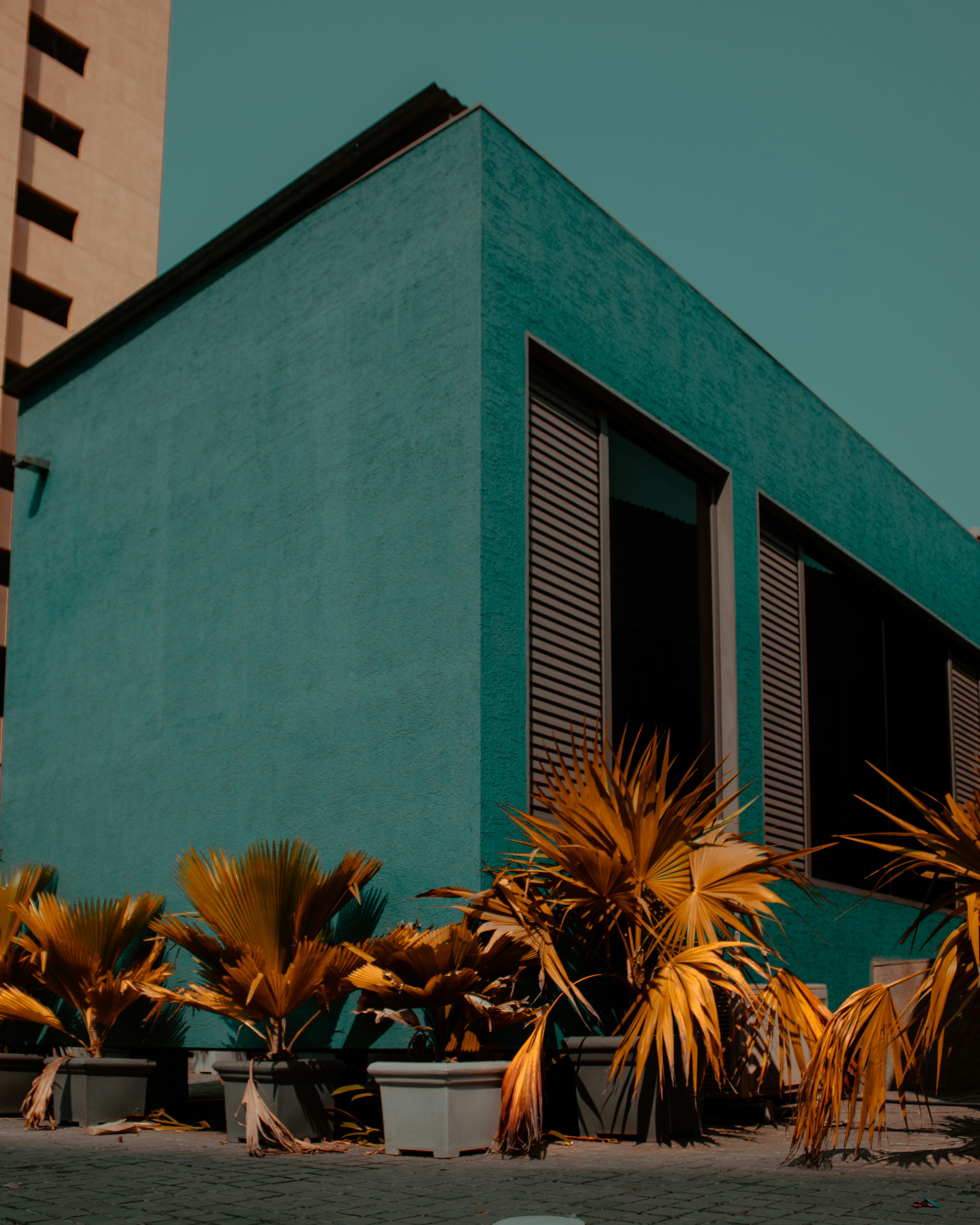 Photo by shubhamdodiya_