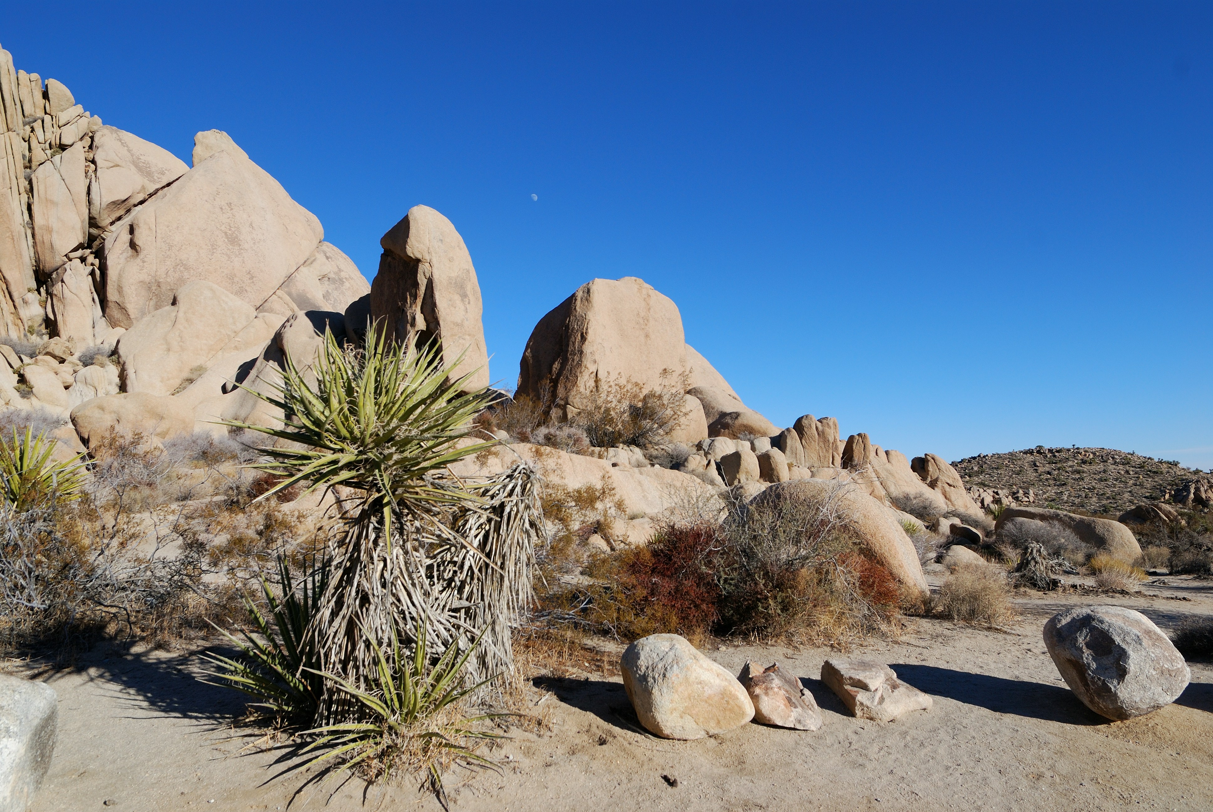 Photo by thammerlund