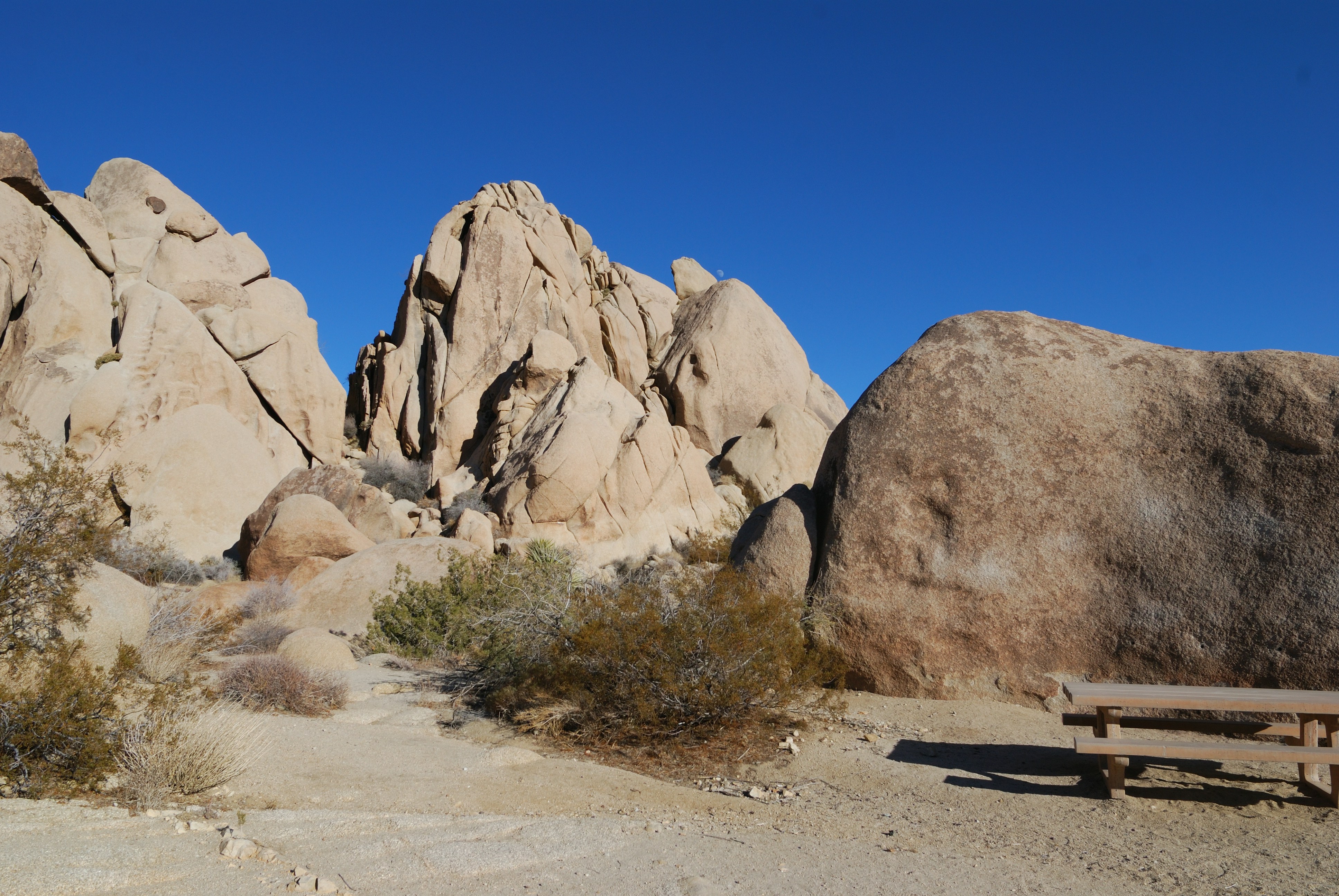 Photo by thammerlund