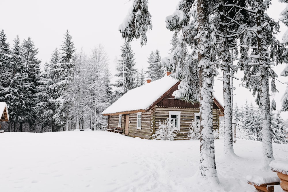 casa di legno marrone nel mezzo di un campo innevato