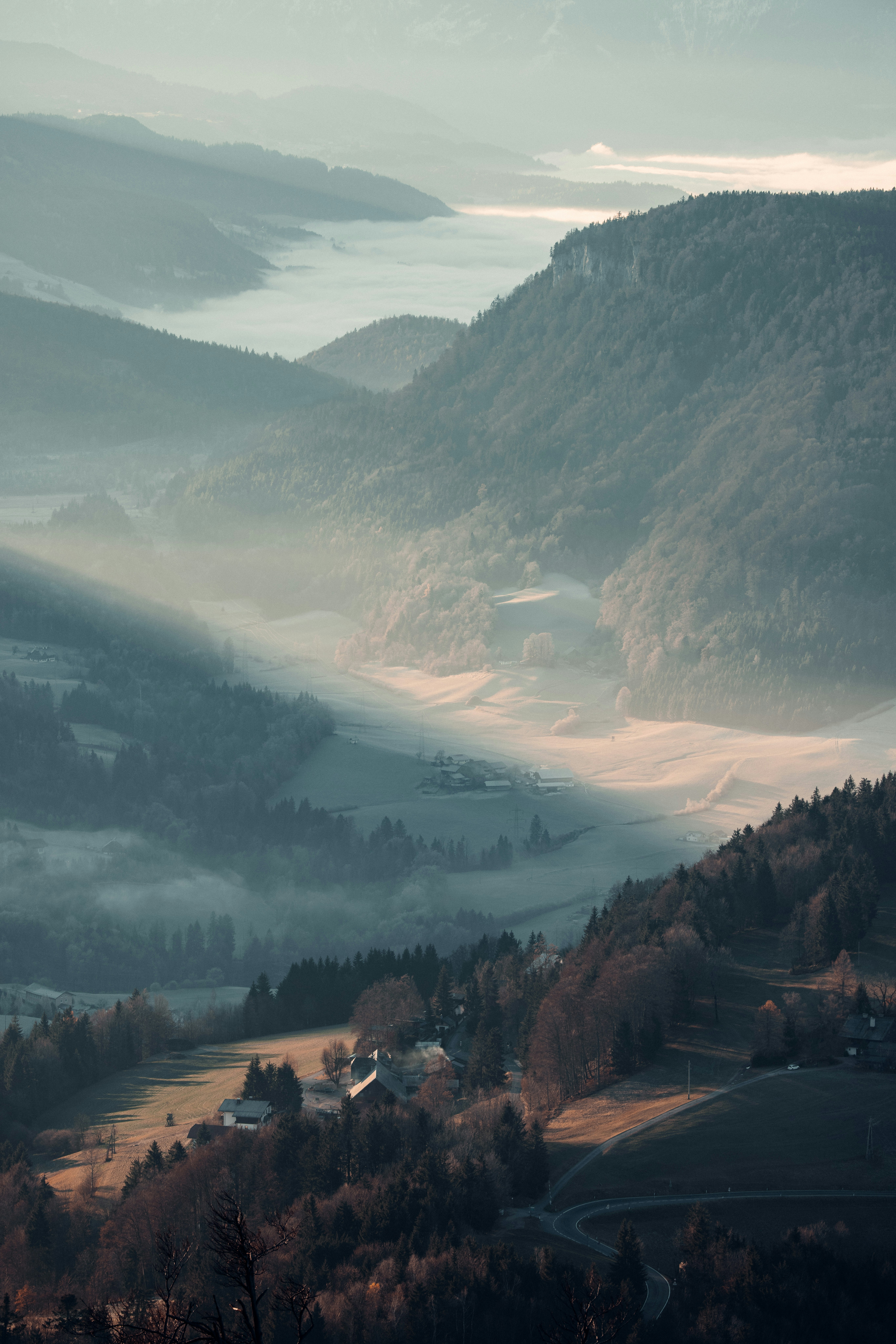 Photo by patresinger