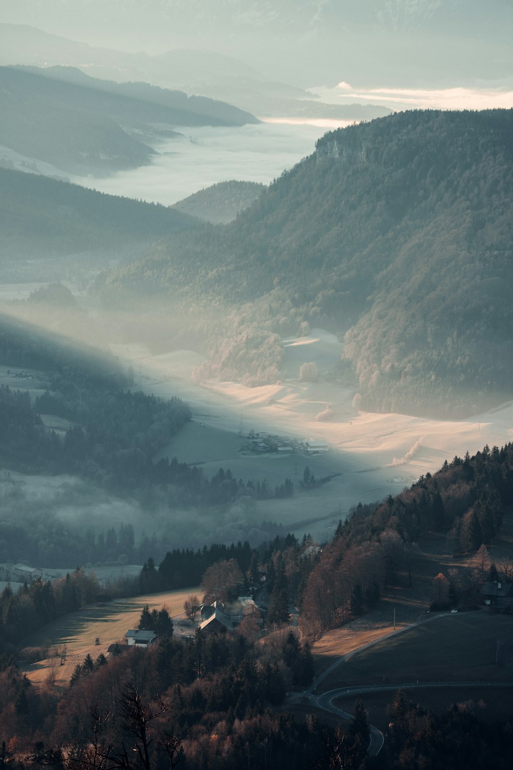 green trees and mountains during daytime