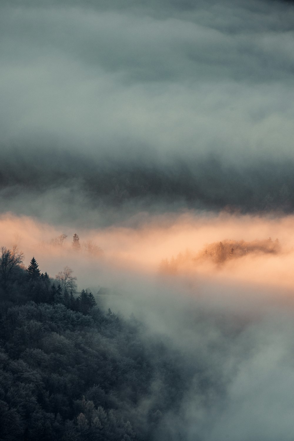 green trees under white clouds