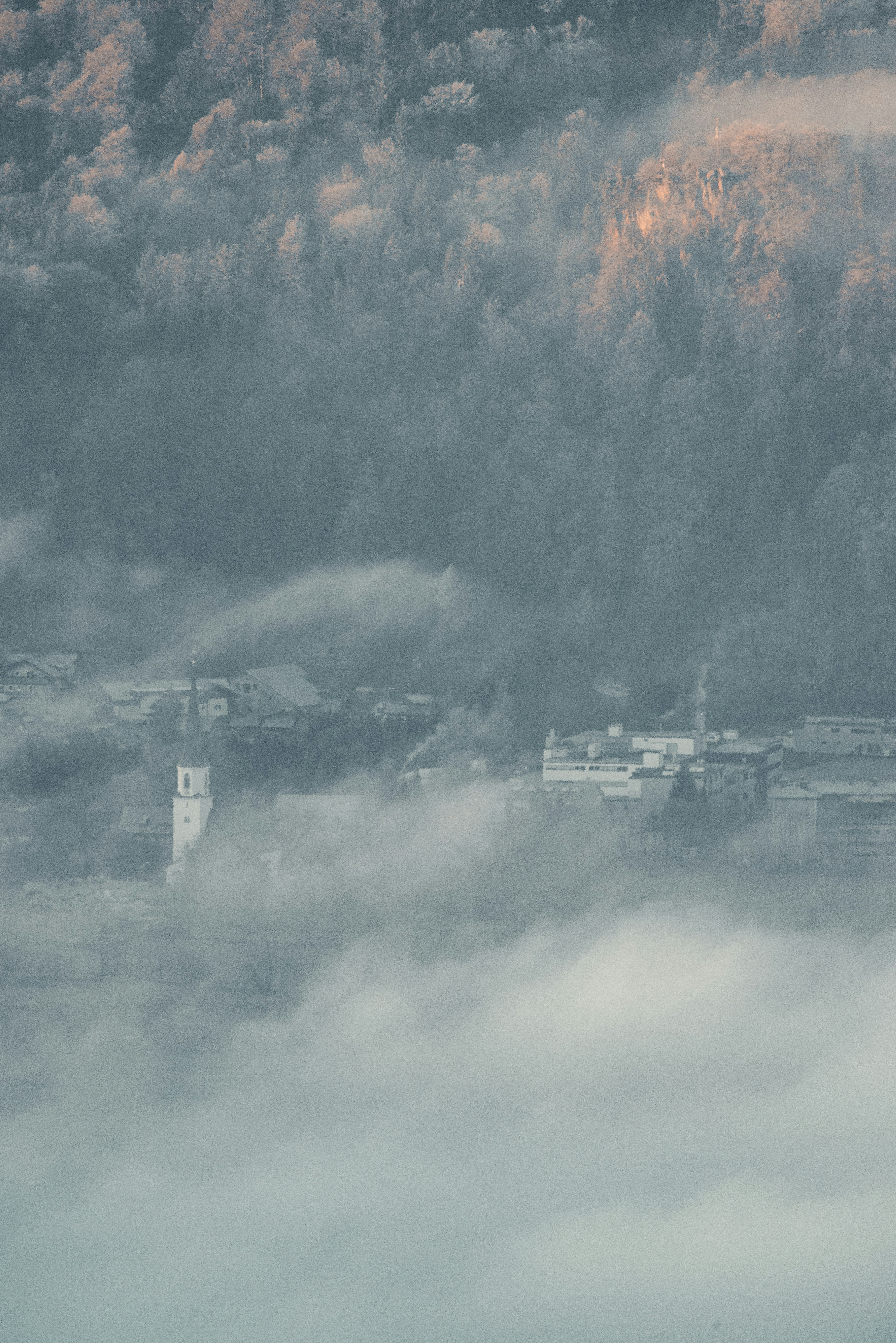 Photo by patresinger
