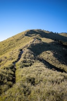 A trekking path leads up a grassy hill with several hikers visible along the trail. The sky is clear and blue, creating a bright and serene atmosphere. The terrain is gently sloping with patches of shadows cast by the uneven ground and surrounding vegetation.