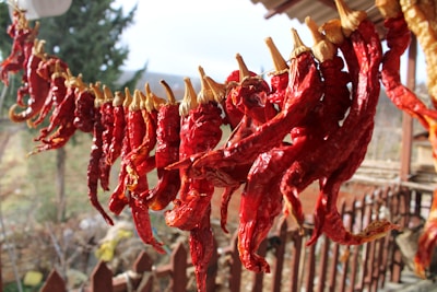 Close-up of ripe red chiles drying under the sun on rustic wooden racks.